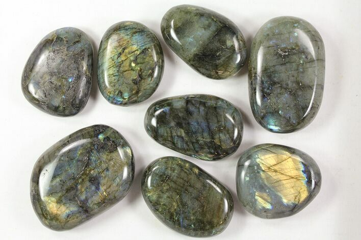 Lot: Lbs Quality Polished Labradorite - Pieces #77280